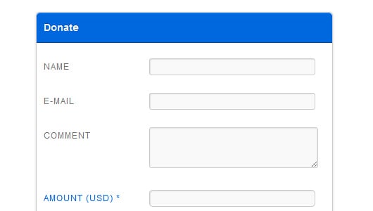 payment form Post image