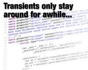 WordPress Transients - Suggests how code stored as transients have a limited lifespan
