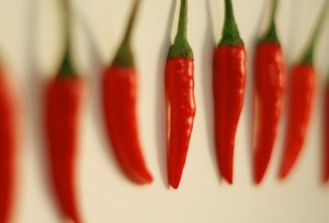 WordPress Economy is hot!