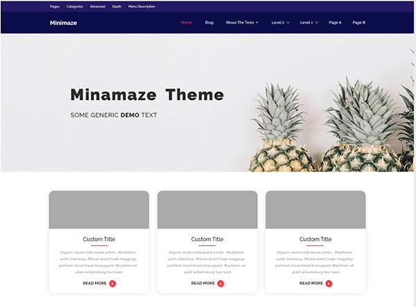 Minimaze header.
