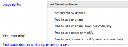 Google Image Advanced Search