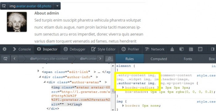 inspect-element
