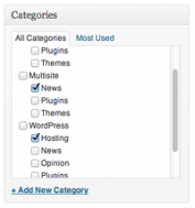 Screen-grab showing the category listing from the Edit Post screen