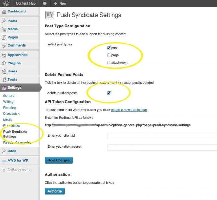 The Push Syndication plugin's settings page