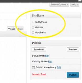 Screenshot showing the list of site groups in the Syndicate metabox