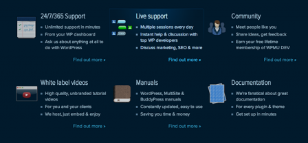wpmudevsupportnarrow