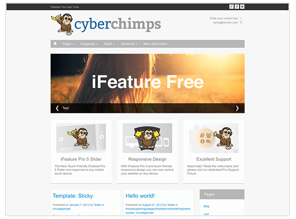 7. iFeature image
