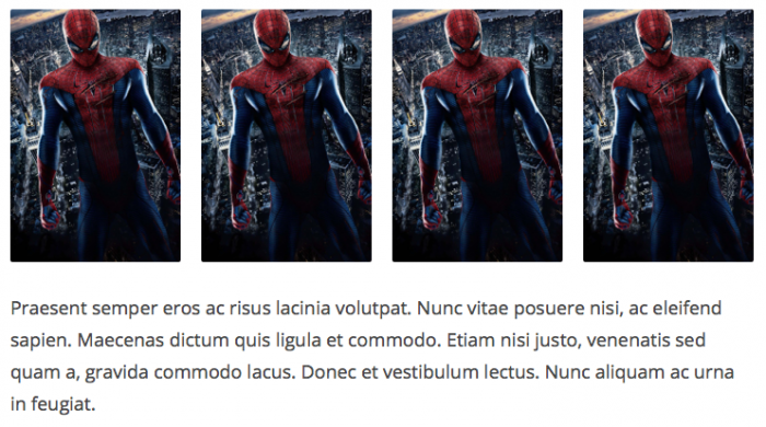 4 images equally spaced in a grid