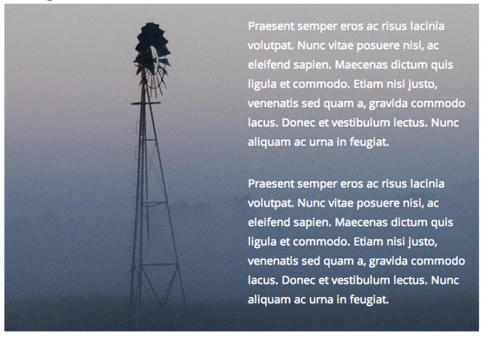 Screengrab with an image overlaid to the right-hand side with text