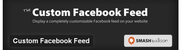 Custom Facebook Feed image