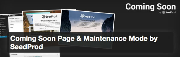The Coming Soon plugin has a free and premium version