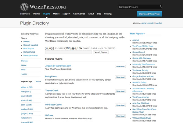 The WordPress plugin repository gives access to thousands of free plugins