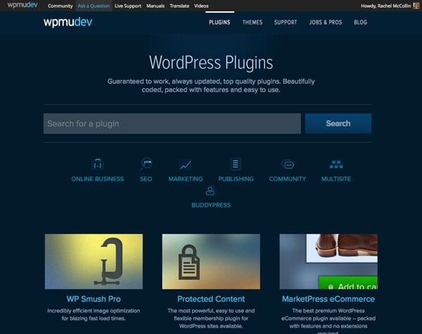 Subscribing to WPMU DEV gives you access to hundreds of premium plugins and themes
