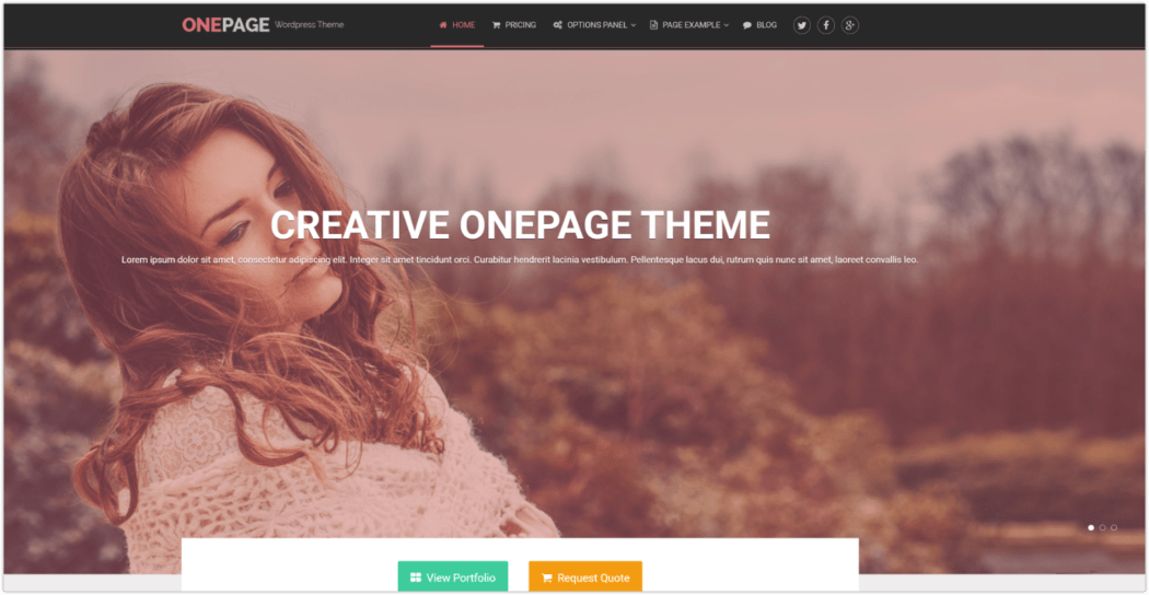 OnePage theme, default