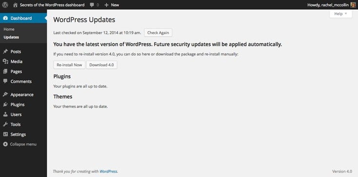 WordPress admin - updates screen