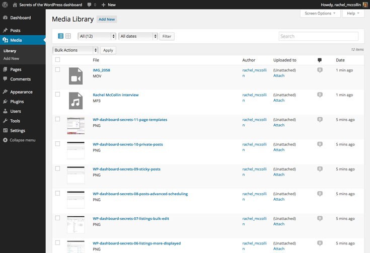 WordPress admin displaying media types
