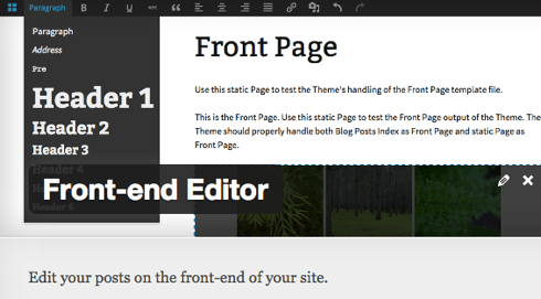 WordPress Front-end Editor