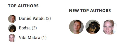 This is what the Top Authors widget looks like on the front-end.