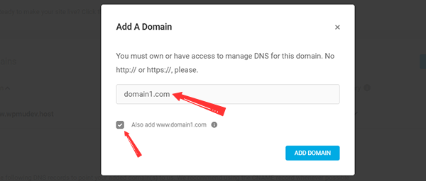 Add a Domain popup screen in WPMU DEV Hosting