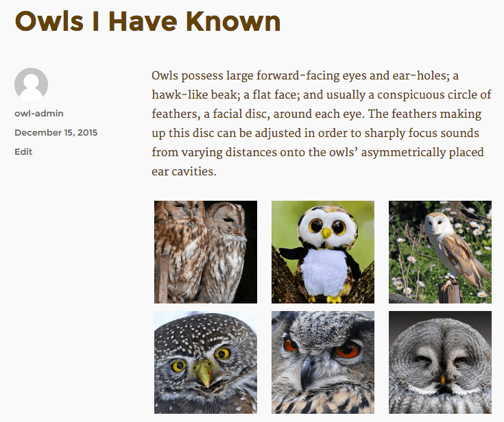 Owl gallery displaying on the front end.