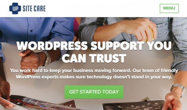 WP Site Care image