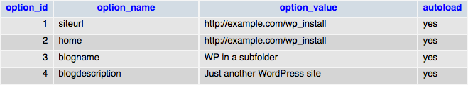 wp_options table