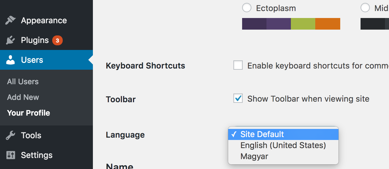 User language selector