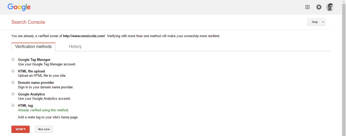 Google Search Console Verification page.