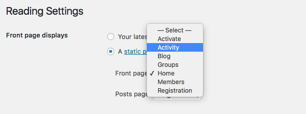 WordPress selecting a static page as the home page