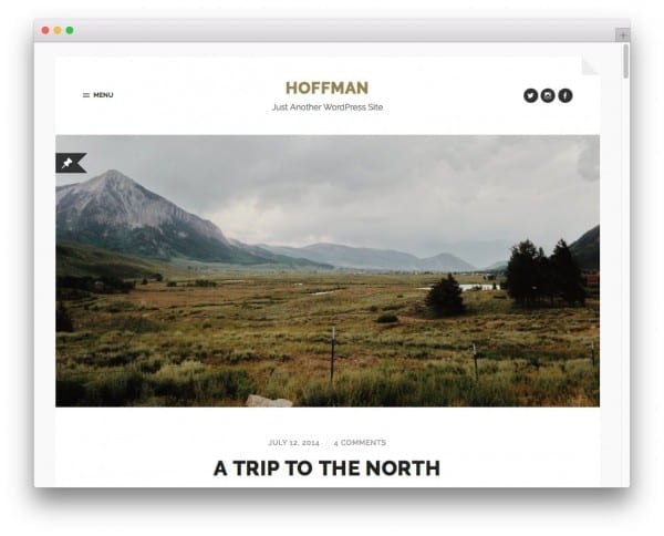 Hoffman image
