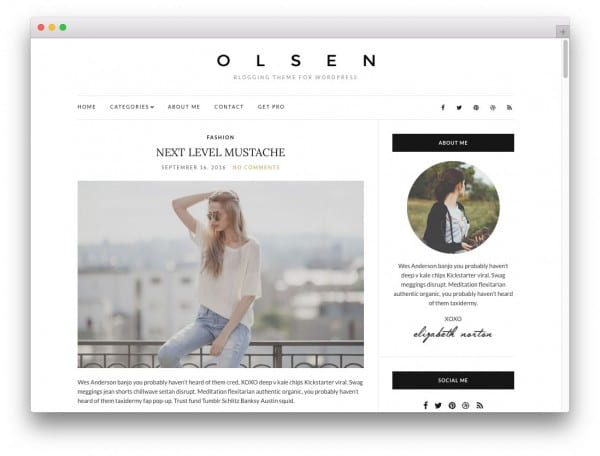 Olsen Light image