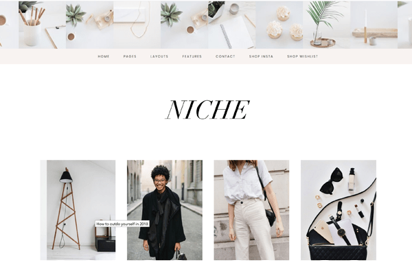 Screenshot of the home page of the Niche Genesis Theme