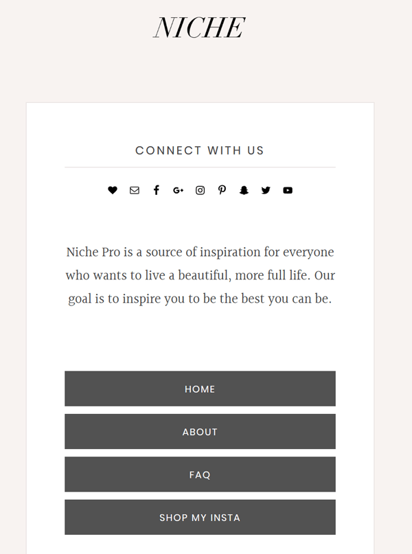 Screenshot of a mobile responsive Instagram landing page