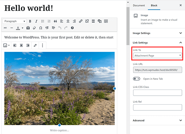 Screenshot of image Gutenberg block select where image should link to