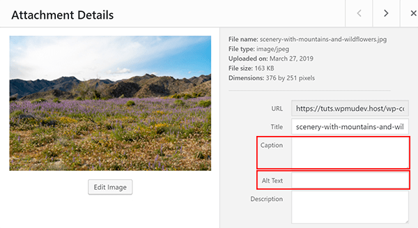 Screenshot of where to add captions and alt text in the media library