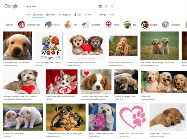 Google images search results for keyphrase "puppy love".