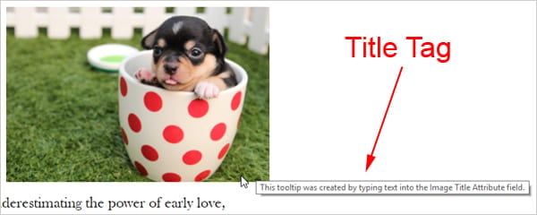 This tooltip was created by typing text into the Image Title Attribute field. Screenshot showing a tooltip created by inputting text into the Image Title Attribute field.