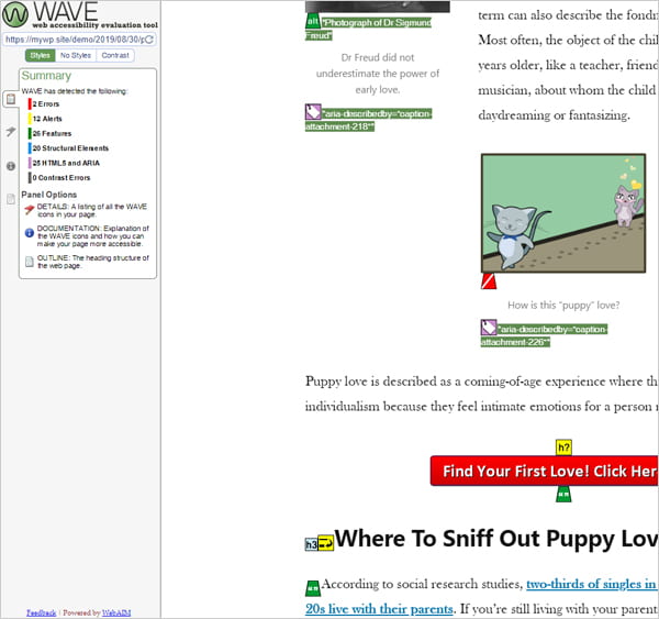 Results screen after running website URL through Wave evaluation tool.
