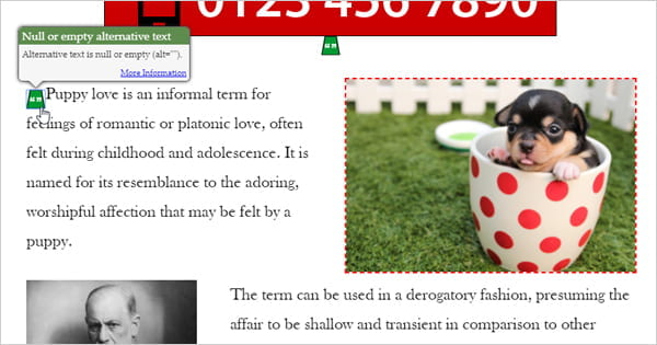 Wave results page showing green icon when image alt tag is detected.