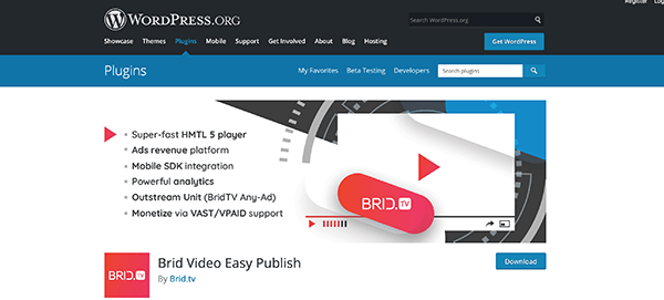 Brid Video Easy Publish image