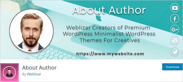 About Author plugin.