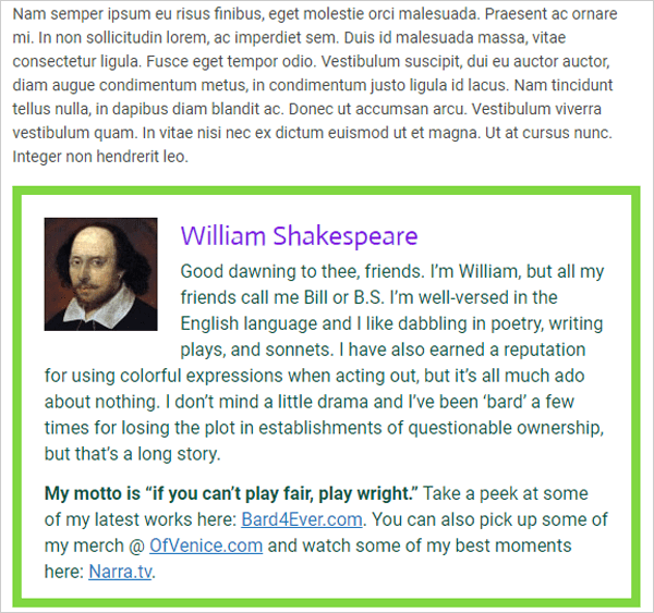 Simple Author Box plugin bio box example.