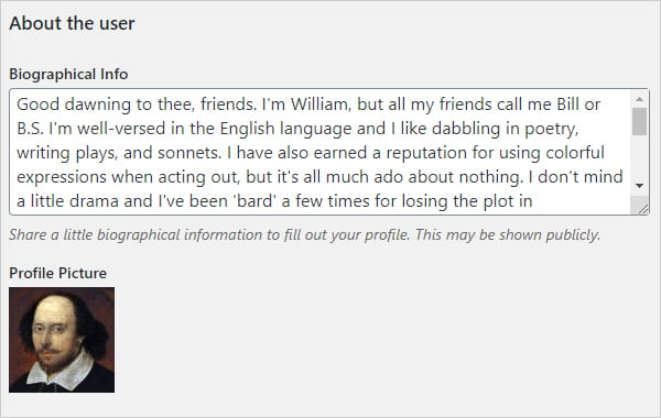WordPress User Profile - Biographical info